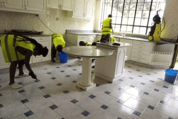 General House Cleaning